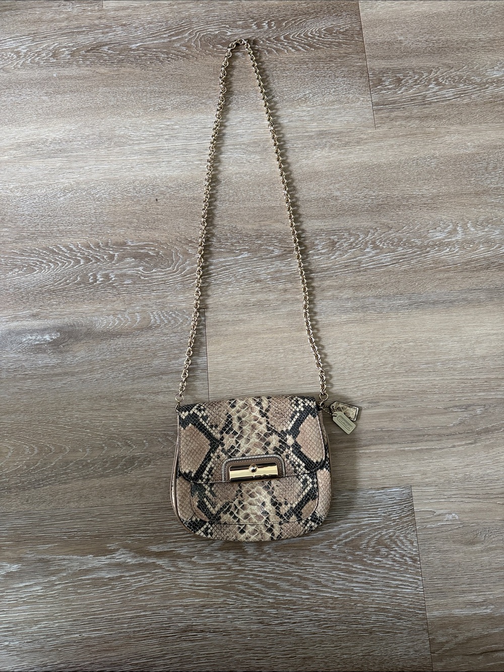 Coach Snake-Print Crossbody Bag with Gold Chain